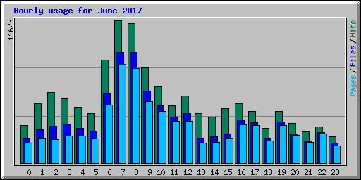 Hourly usage for June 2017